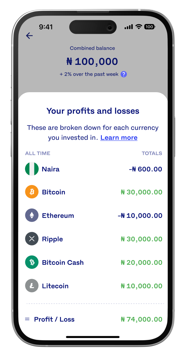 Screenshot of the profits and losses breakdown for each cryptocurrency in Naira