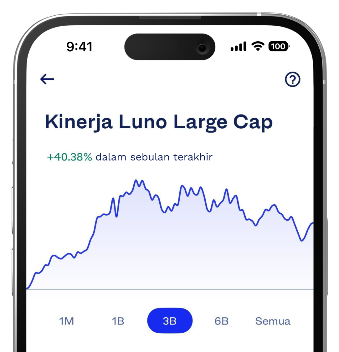 animated gif of the Luno Large Cap bundle performance graph